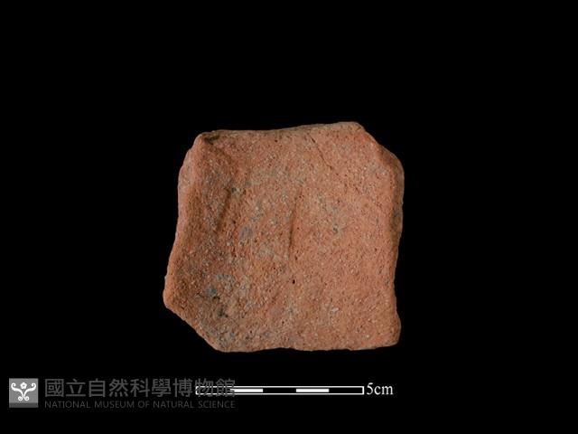 陶片藏品圖，第1張