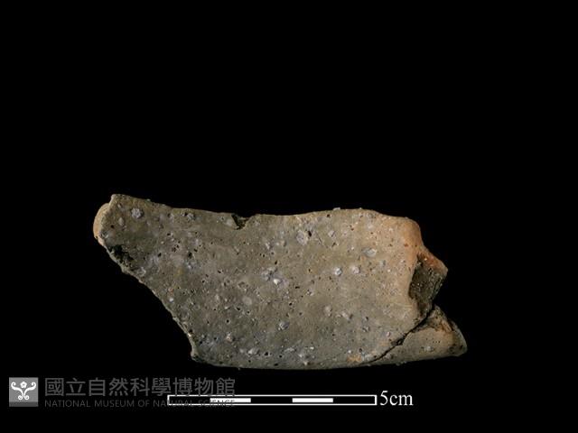 陶片藏品圖，第1張