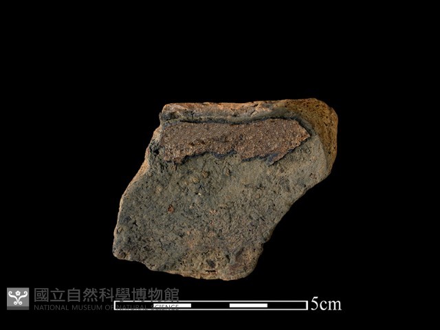 陶片藏品圖，第1張