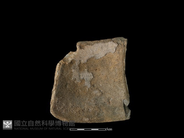 陶片藏品圖，第2張