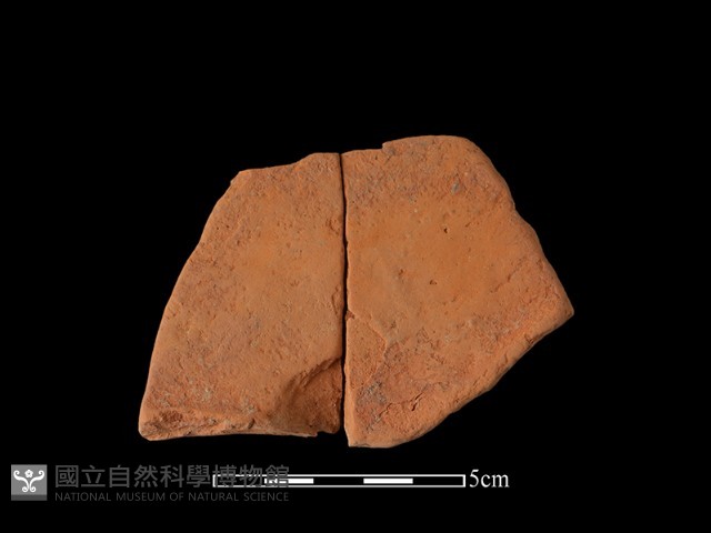 連杯形器藏品圖，第1張