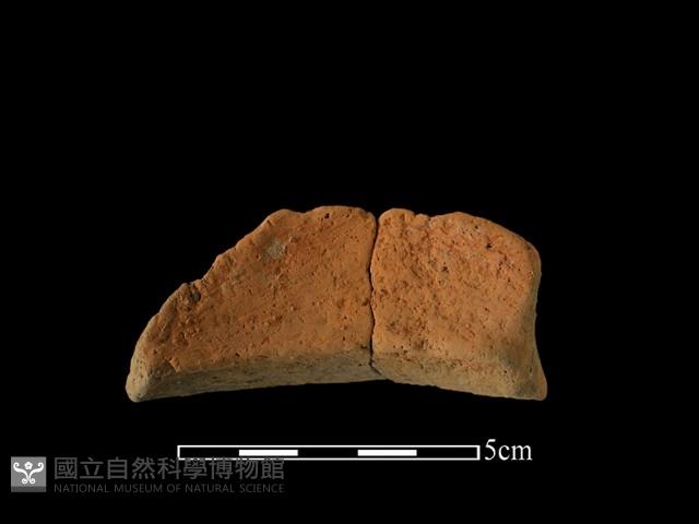 陶罐藏品圖，第1張