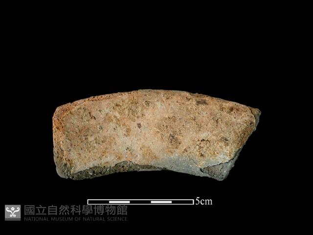 陶罐藏品圖，第1張