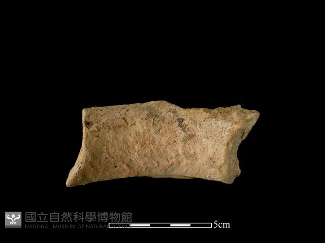 陶罐藏品圖，第2張