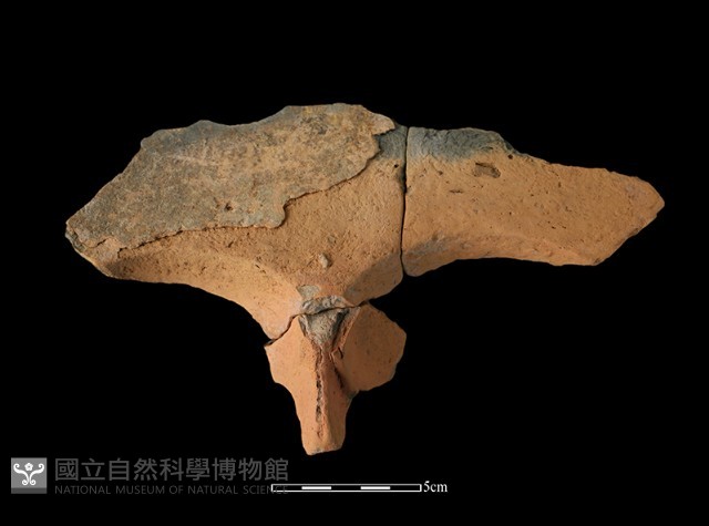 連杯形器藏品圖，第1張