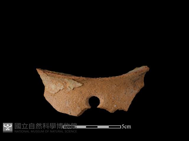 陶片藏品圖，第1張