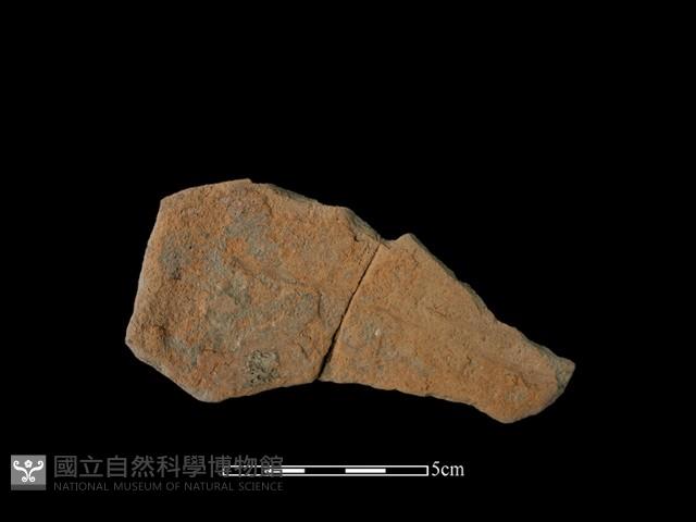 陶罐藏品圖，第1張