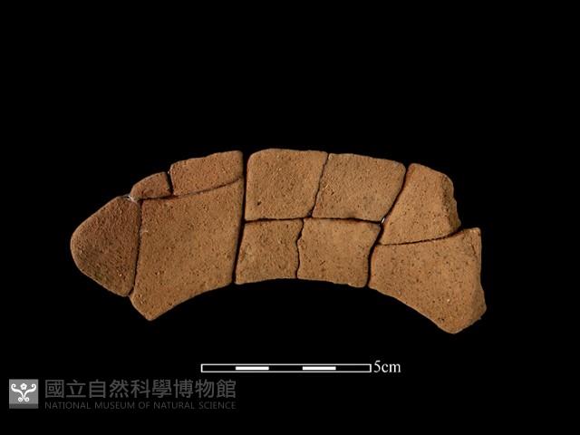 陶罐藏品圖，第1張