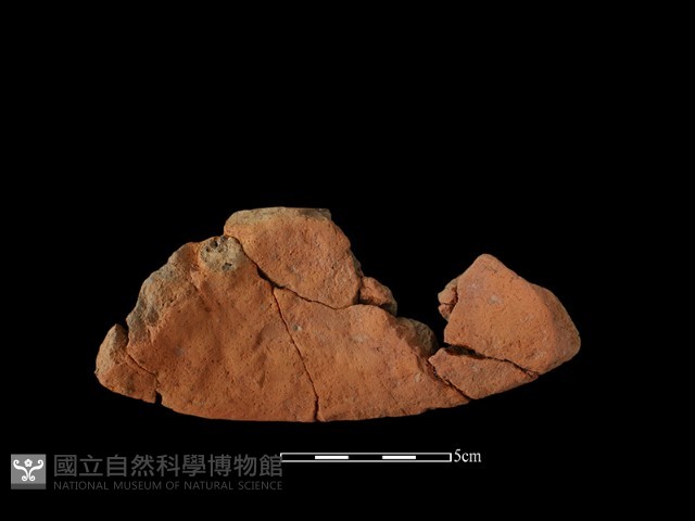 陶片藏品圖，第2張