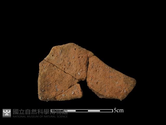 陶片藏品圖，第2張