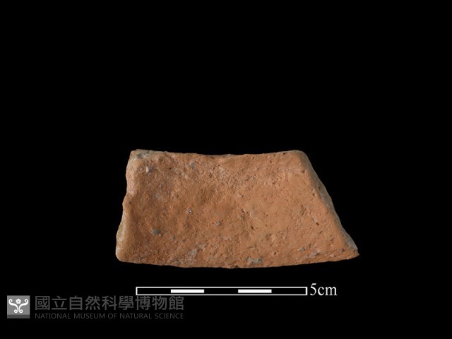 陶片藏品圖，第1張