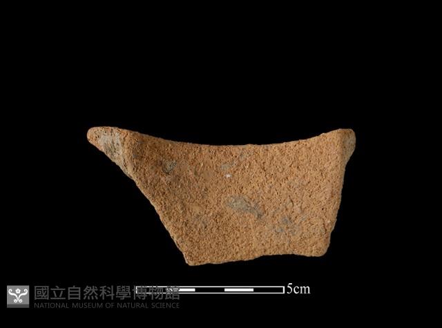 陶片藏品圖，第2張