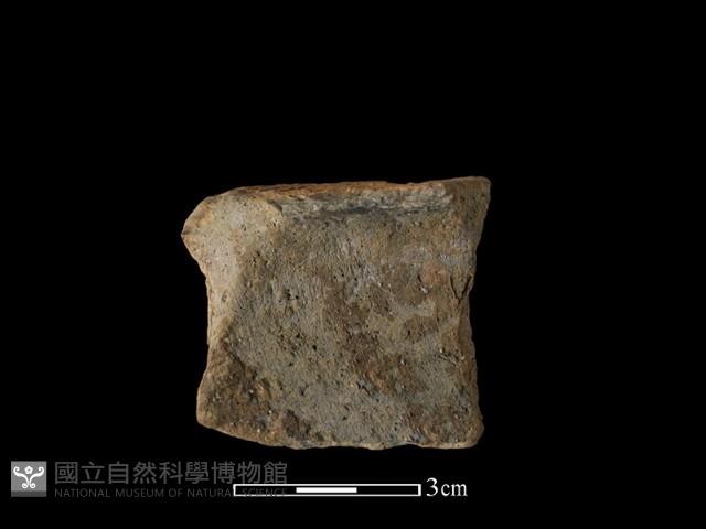 陶片藏品圖，第2張