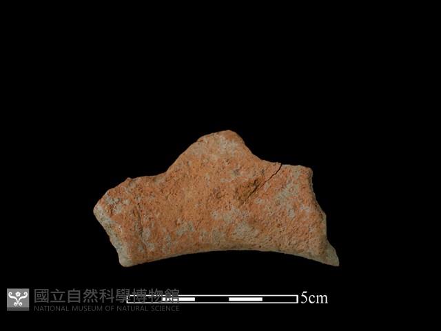 陶片藏品圖，第1張