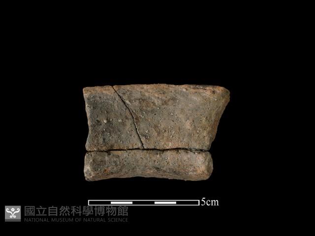 陶罐藏品圖，第1張