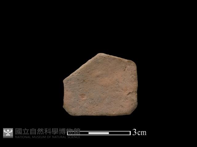 陶片藏品圖，第1張