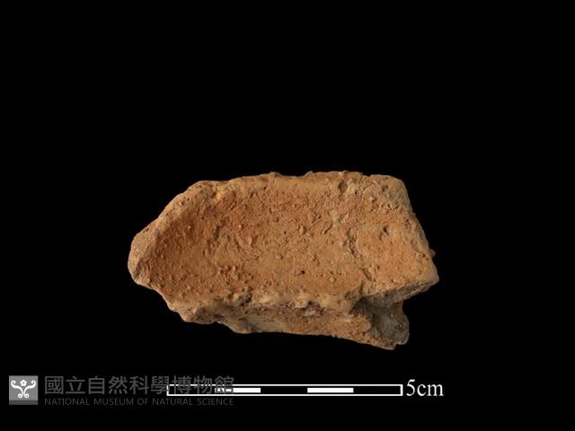 陶罐藏品圖，第1張