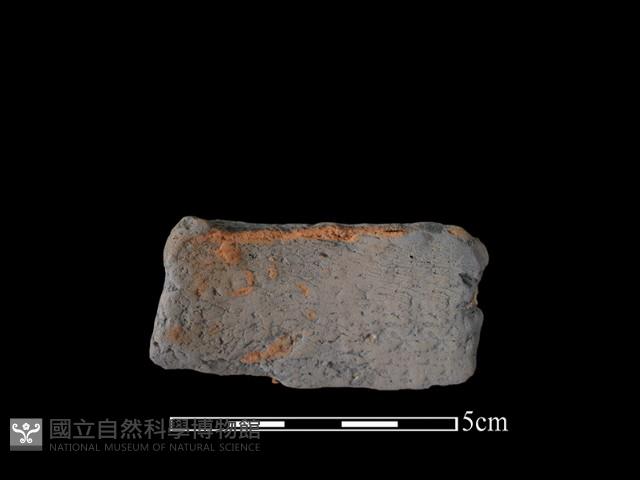 陶片藏品圖，第2張