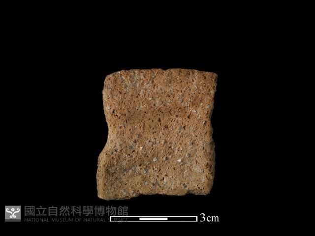 陶罐藏品圖，第1張