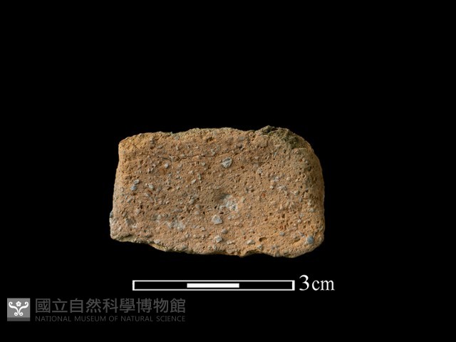 陶片藏品圖，第2張