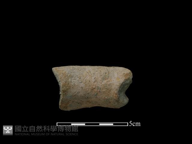 陶罐藏品圖，第1張