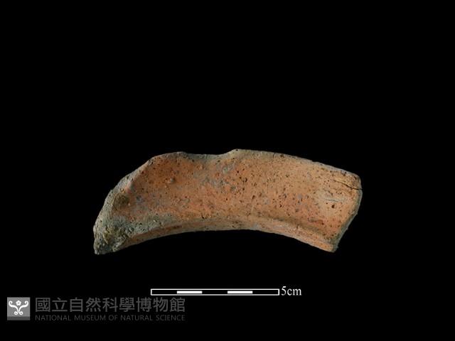 陶罐藏品圖，第2張