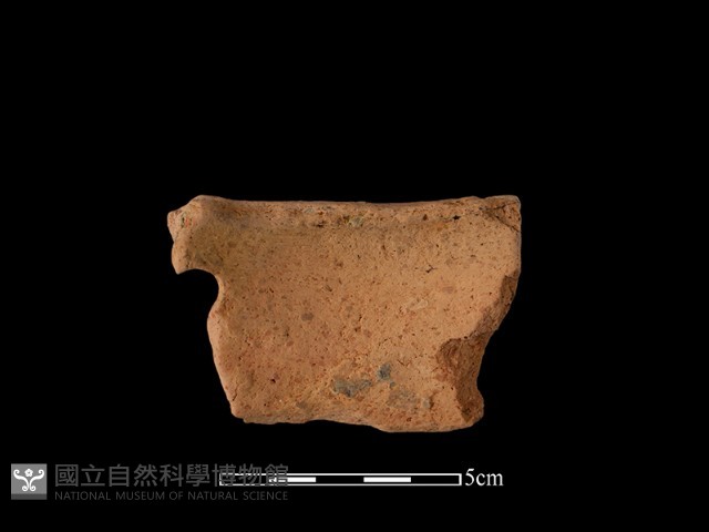 陶片藏品圖，第2張