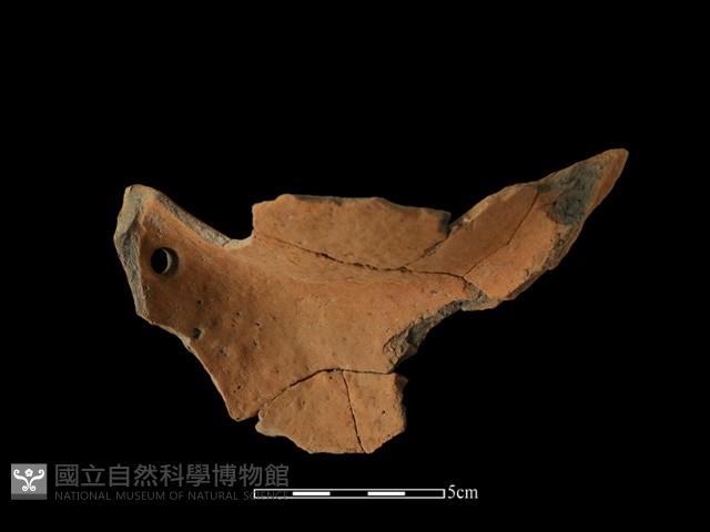 Accession Number:AHR336-2017-066 Collection Image, Figure 1, Total 3 Figures