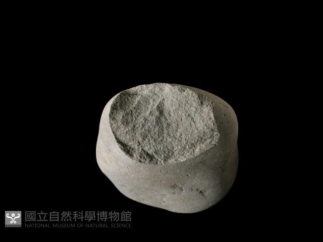 石核藏品圖，第2張