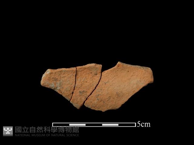 陶片藏品圖，第2張