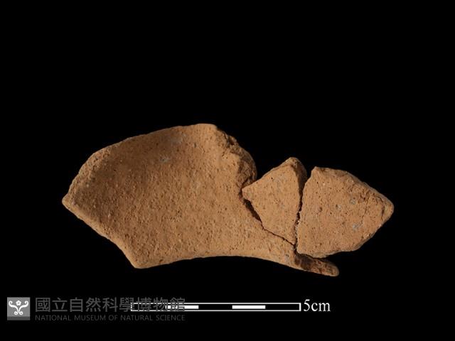 陶罐藏品圖，第1張