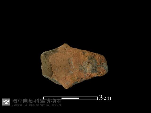 連杯形器藏品圖，第1張