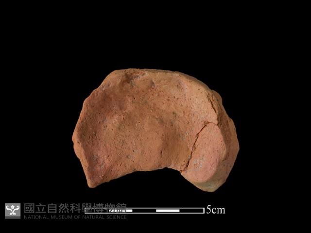 陶片藏品圖，第2張