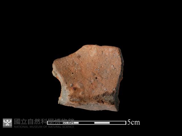 Accession Number:AHR232-2017-094 Collection Image, Figure 2, Total 2 Figures