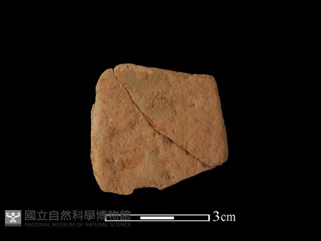 陶片藏品圖，第1張