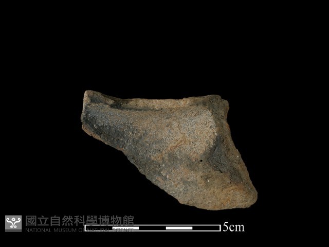 陶片藏品圖，第2張