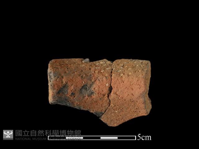 陶罐藏品圖，第3張