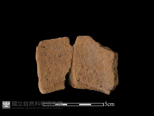 陶罐藏品圖，第2張