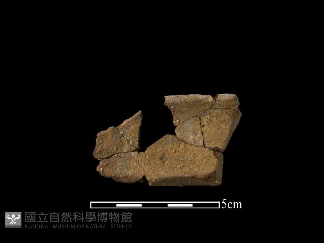 陶罐藏品圖，第2張