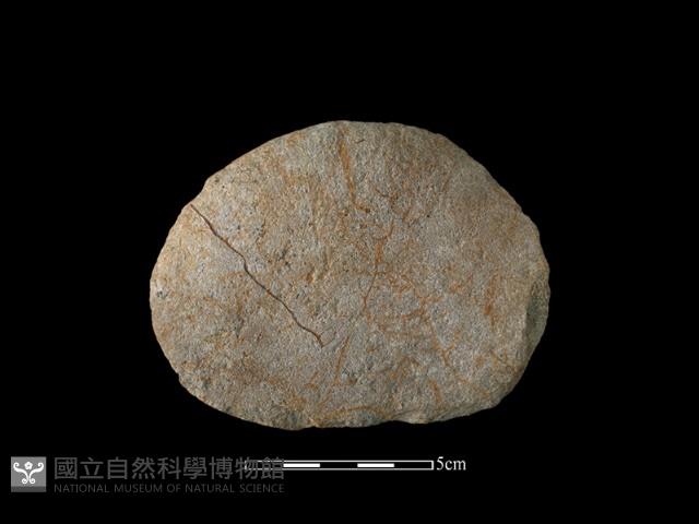 石片器藏品圖，第2張