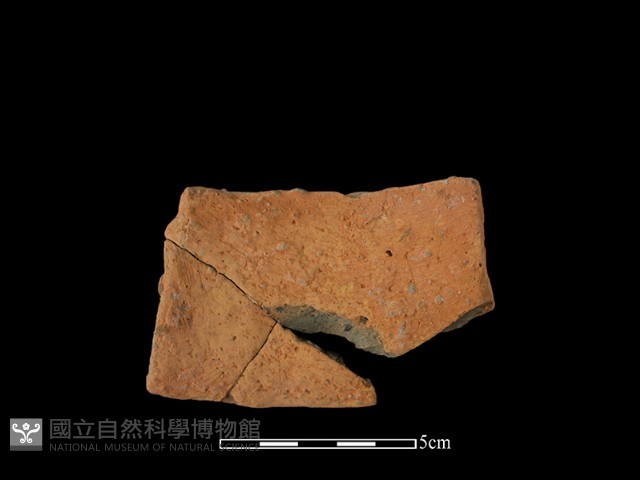陶片藏品圖，第1張