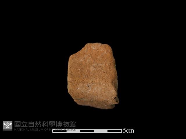 陶罐藏品圖，第1張