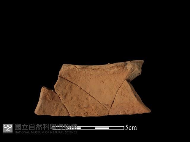 陶片藏品圖，第1張