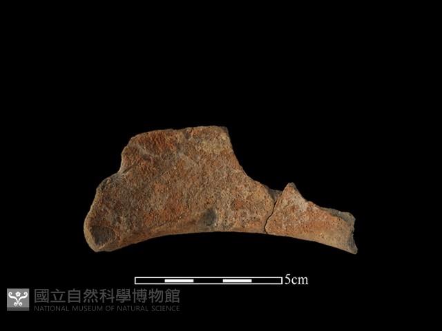 陶罐藏品圖，第2張