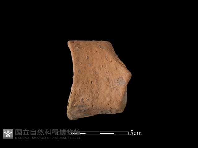 陶罐藏品圖，第2張