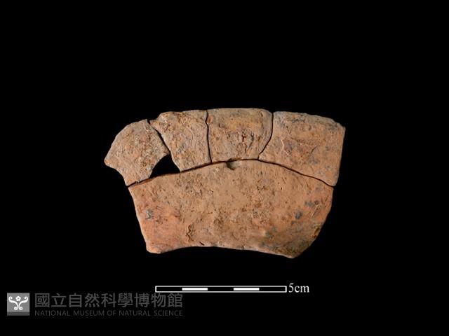 連杯形器藏品圖，第2張