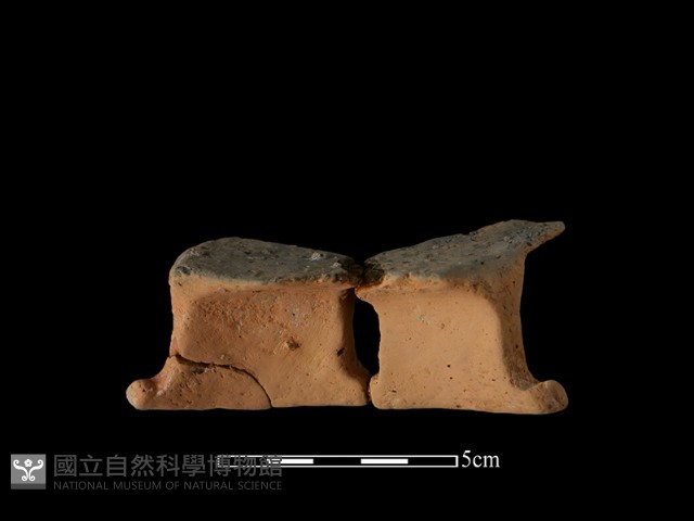 陶片藏品圖，第1張
