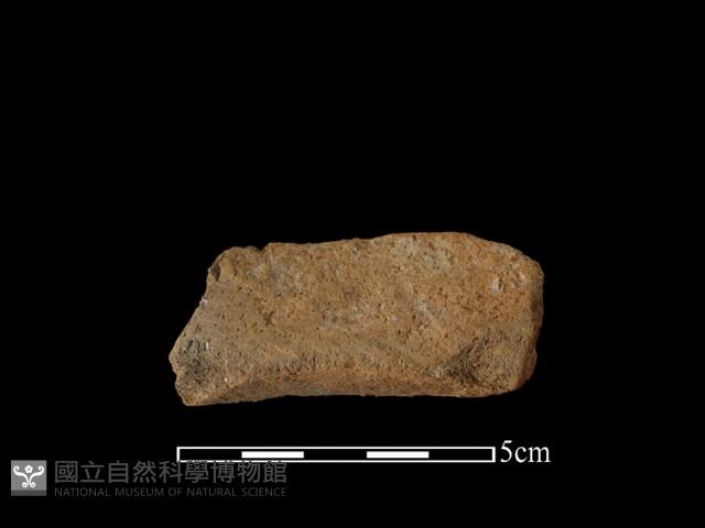 陶罐藏品圖，第2張