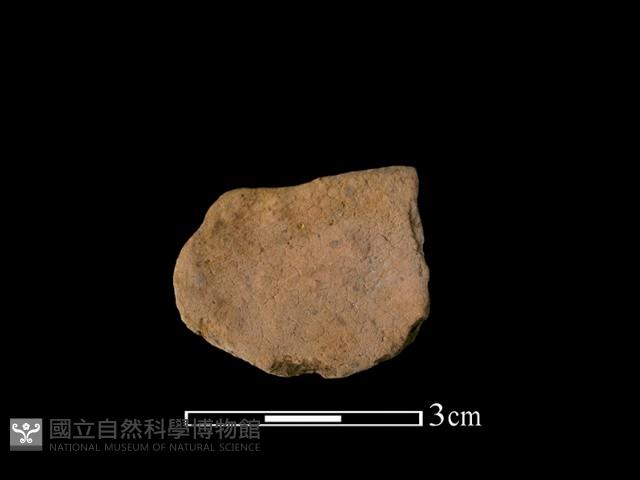 陶片藏品圖，第1張