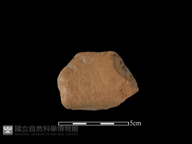 陶罐藏品圖，第2張